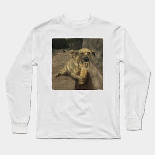 poor dog eating bread Long Sleeve T-Shirt